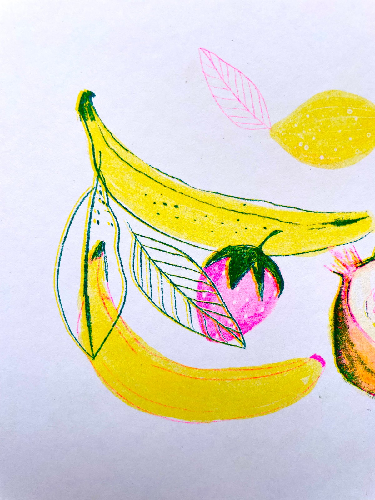 Riso frutas (print)