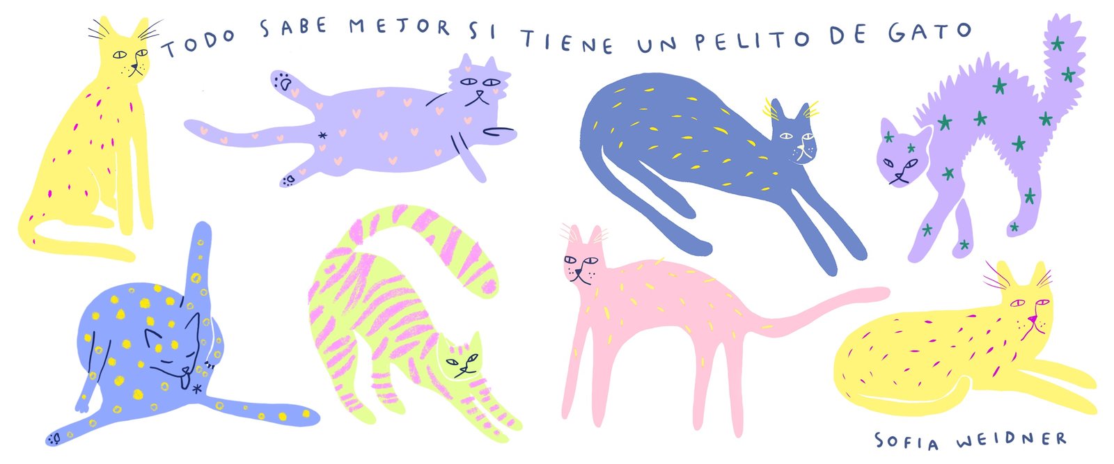 Taza de gatos